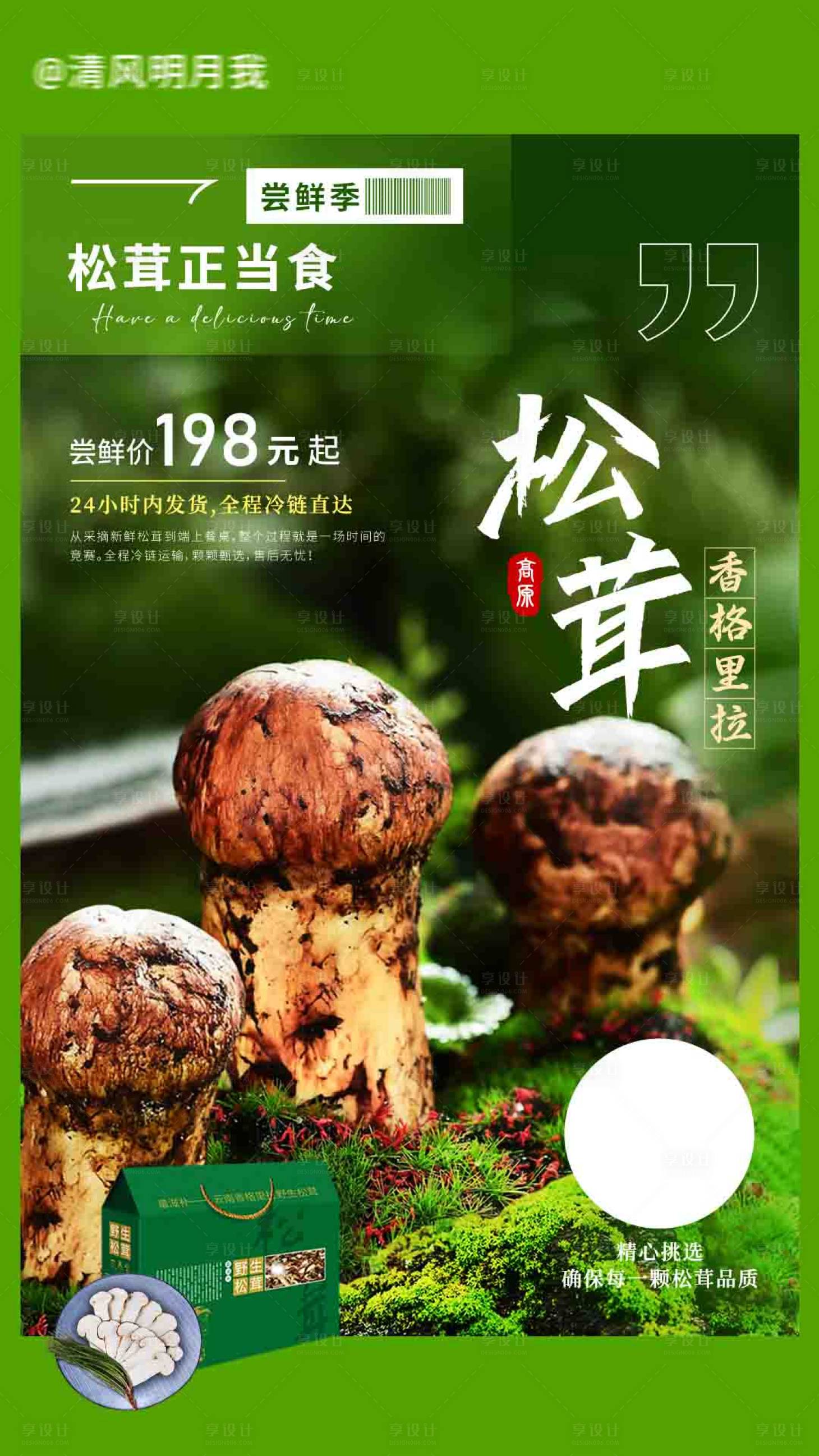 源文件下载【松茸海报】编号：23960018388663627