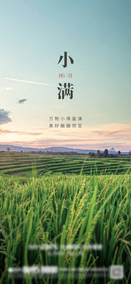 源文件下载【春季自然小满节气海报】编号：63760018296181152