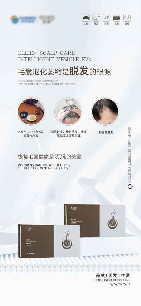 源文件下载【脱发问题困扰海报】编号：12300018053065517