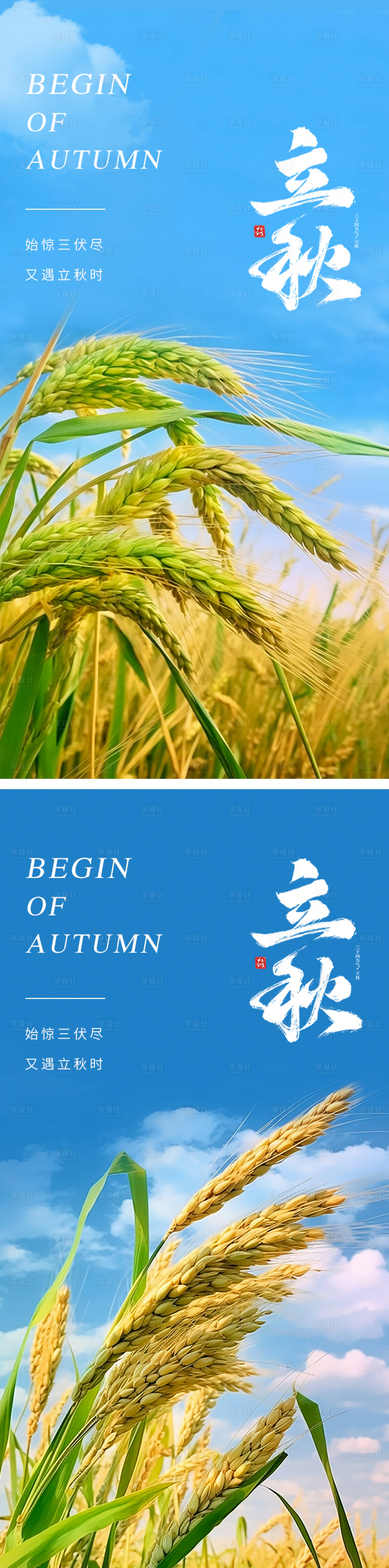 源文件下载【享设计】搜索编号：31610018260145685【24节气立秋小麦海报】