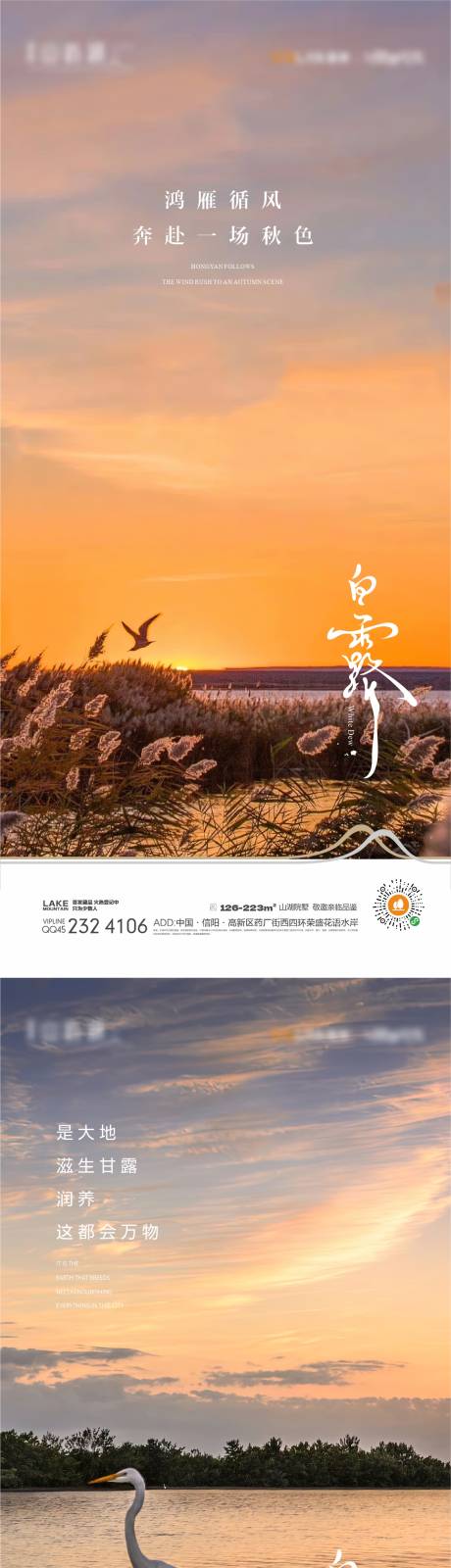 源文件下载【白露海报】编号：85940018350014127
