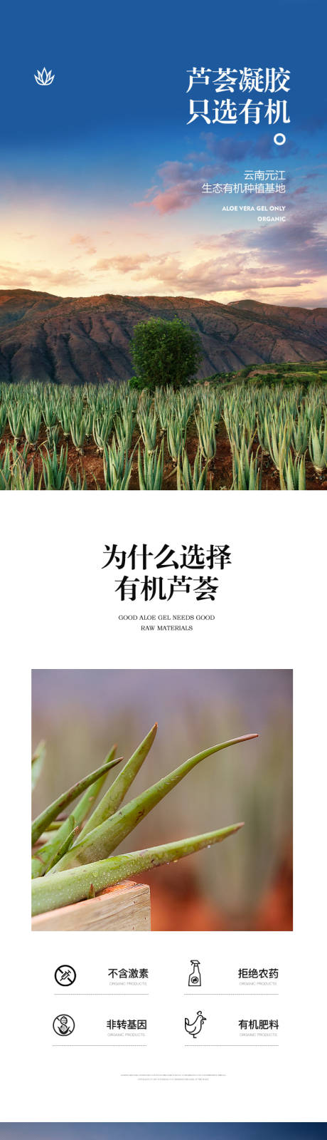 编号：20230712130228543【享设计】源文件下载-芦荟种植化妆品长图海报