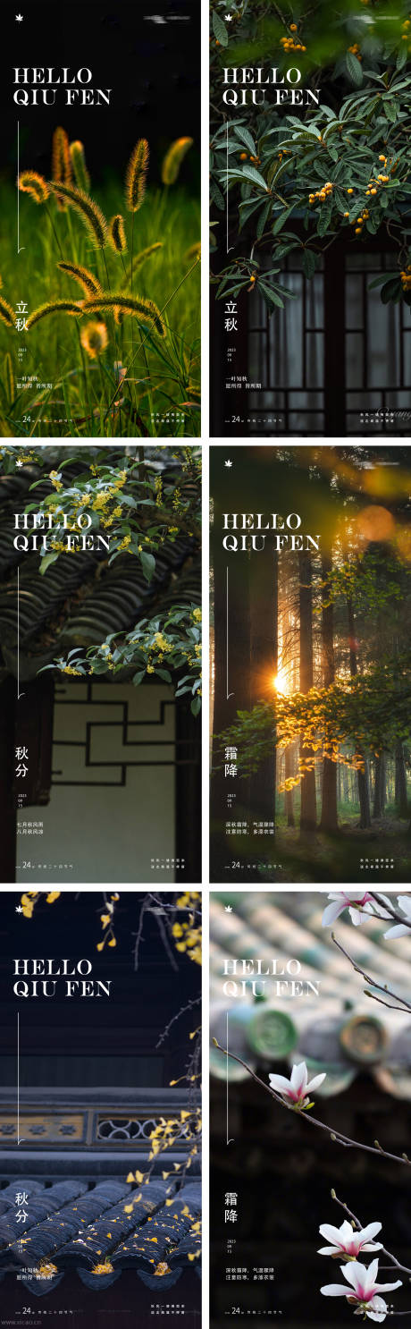 源文件下载【立秋秋分霜降24节气风景树木海报】编号：72090018220916222