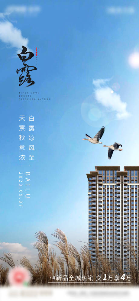 源文件下载【白露海报】编号：12360018187931557