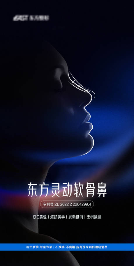 源文件下载【医美鼻整形海报】编号：13230018395121558