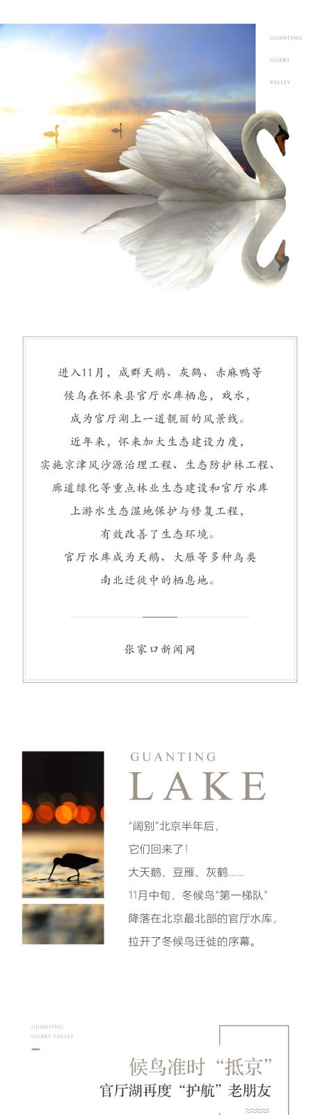 源文件下載【候鳥長圖】編號：65270018228361522