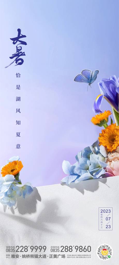 源文件下载【大暑海报】编号：11380018057595078