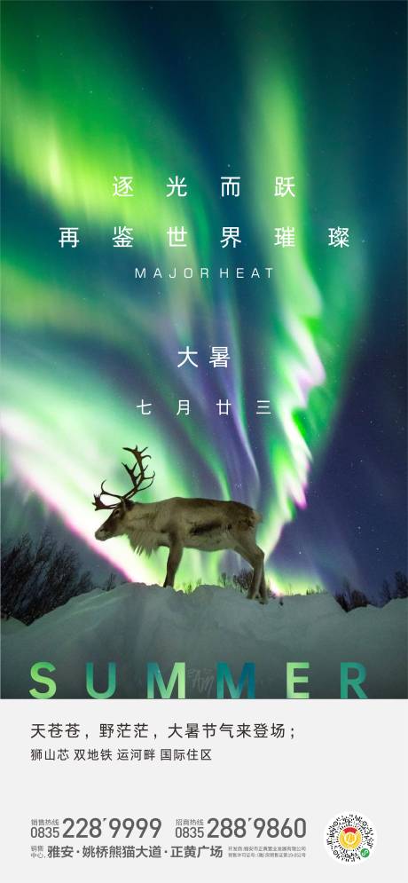 大暑节气海报