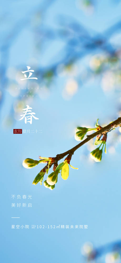 源文件下载【立春海报  】编号：28000017779505743