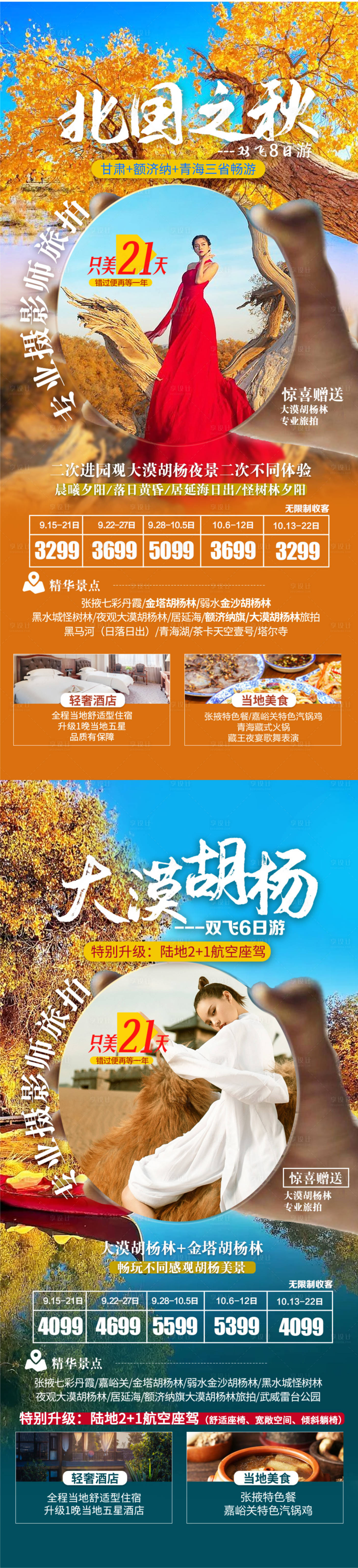 源文件下载【享设计】搜索编号：66590017992586857【西北青甘额济纳旅游海报】