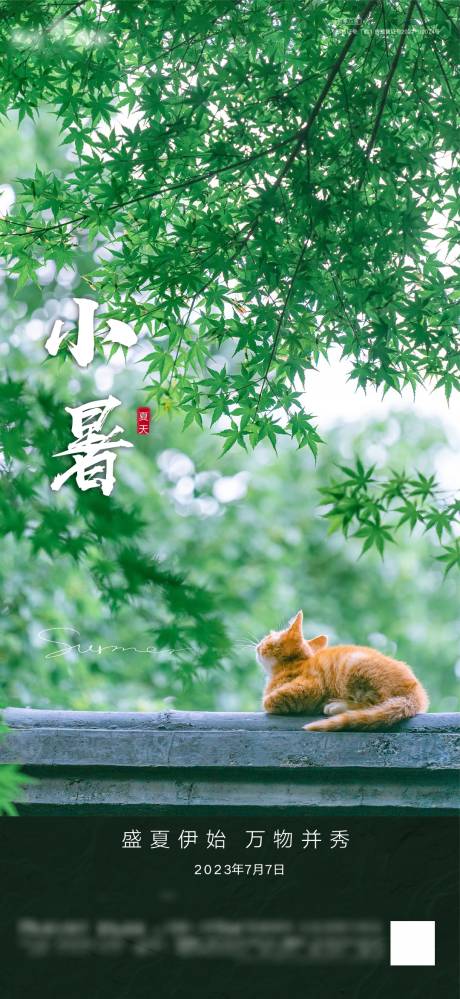 源文件下載【小暑節氣海報】編號：61720017848246802