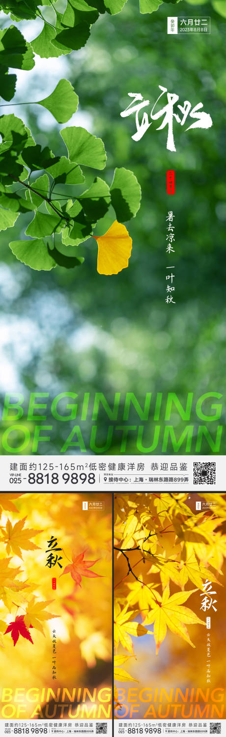 源文件下载【立秋节气系列海报】编号：83450018089001345