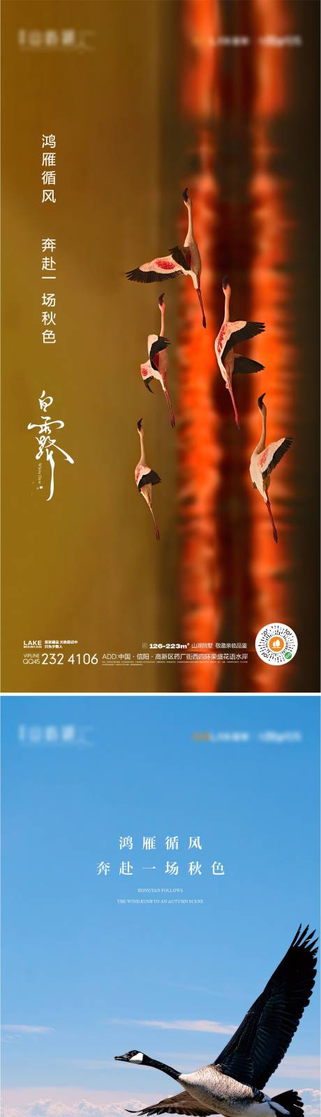 源文件下載【白露海報】編號：82750018349937243