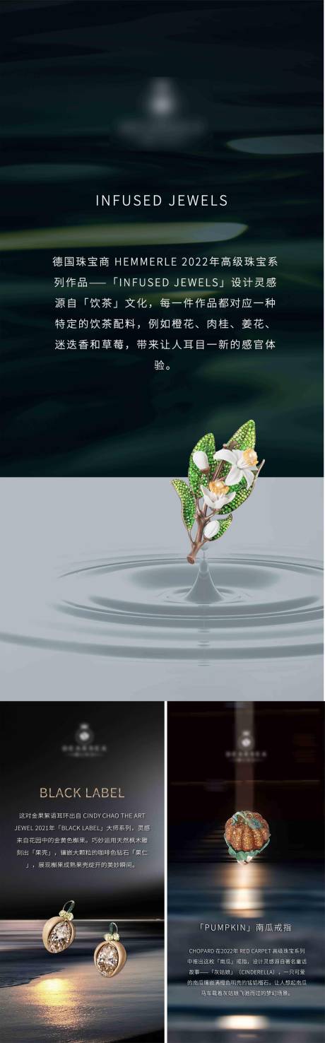 源文件下载【珠宝鉴赏价值点系列海报】编号：77940018001477813
