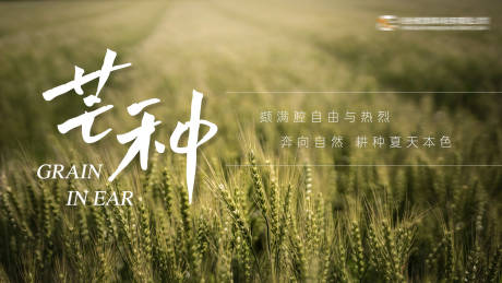 源文件下載【享設(shè)計(jì)】搜索編號(hào)：27010017875158105【二十四節(jié)氣芒種海報(bào)】