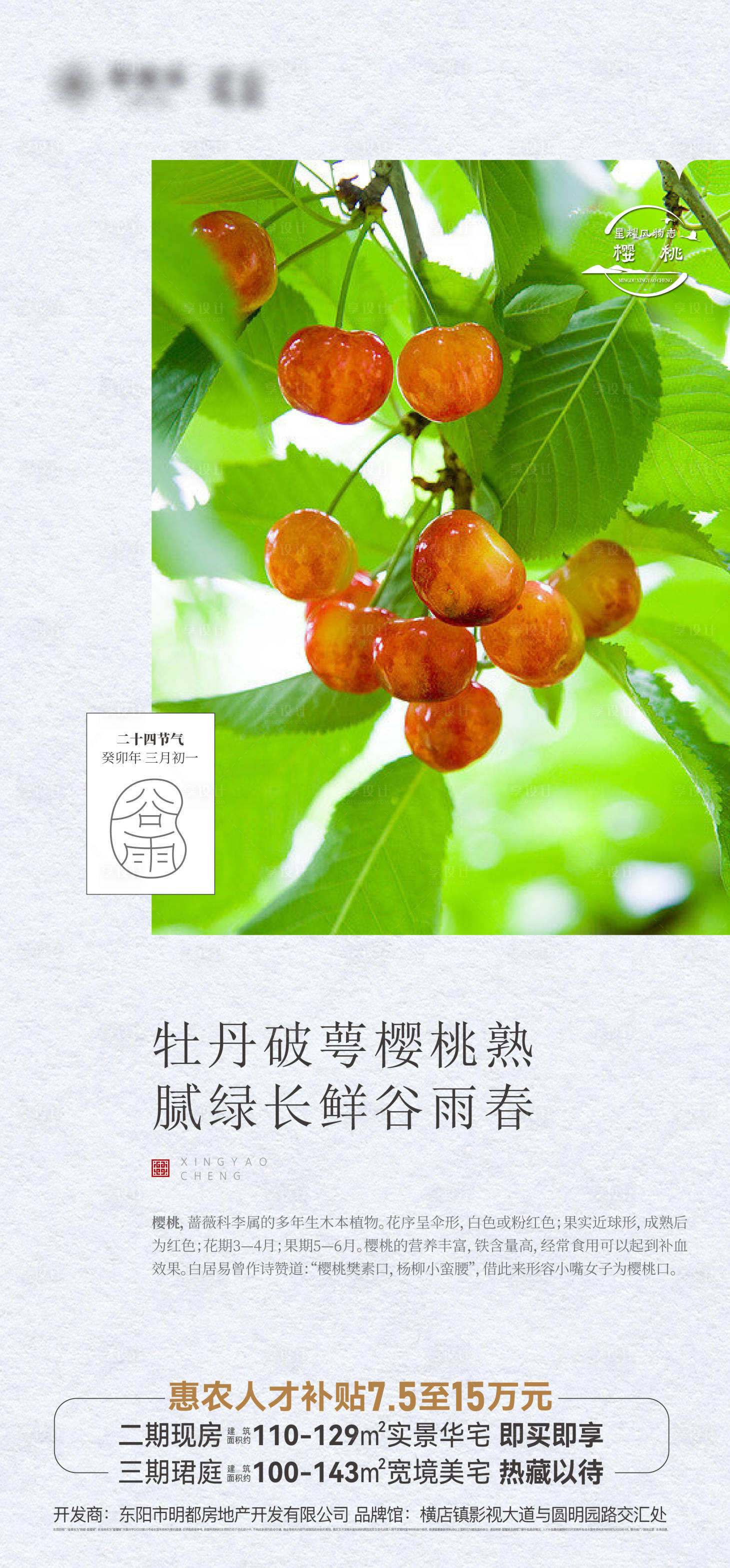 源文件下载【享设计】搜索编号：54280018275127829【谷雨节气海报】