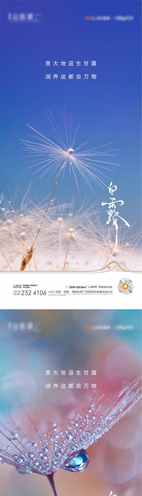 源文件下载【白露节气移动端海报】编号：79110018349967764