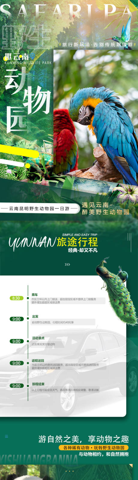源文件下载【云南昆明野生动物园旅游详情页】编号：42640018366283729