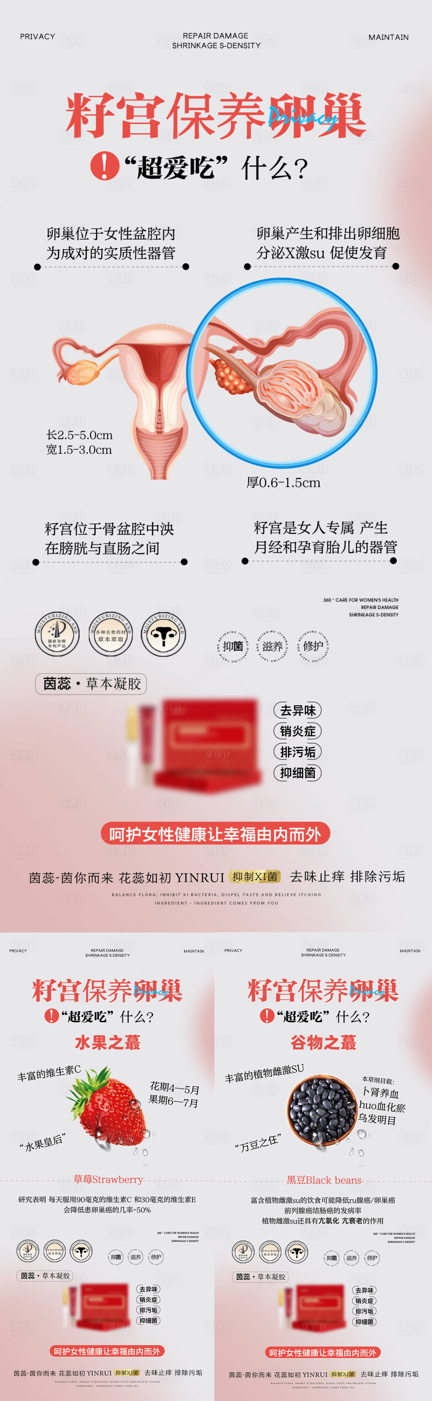 源文件下載【享設計】搜索編號：70580017884131128【私密保養卵巢海報】