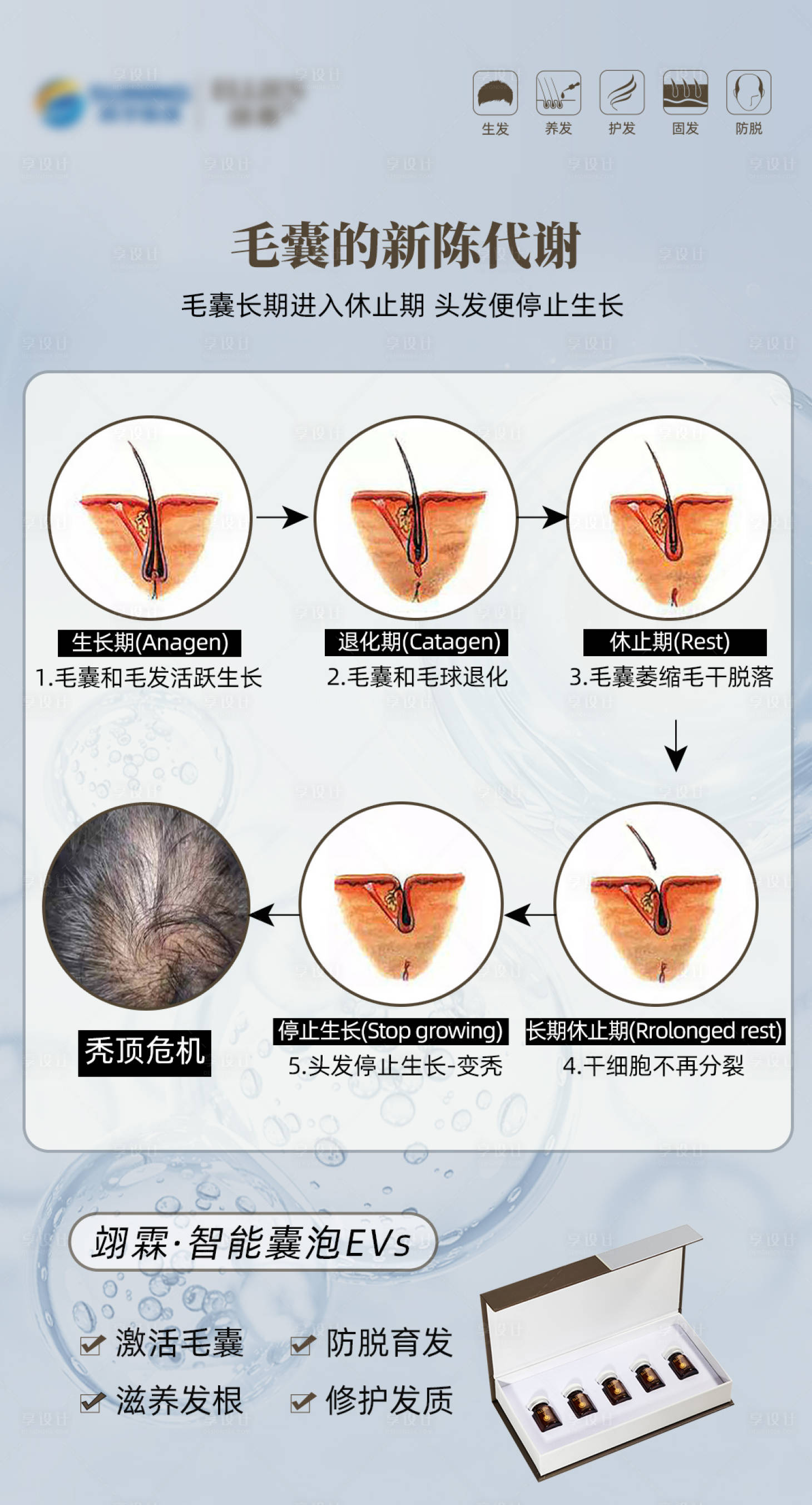 源文件下载【毛发的脱发周期】编号：34150018292477519