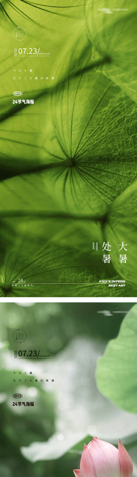 源文件下载【大暑处暑24节气地产花朵海报】编号：10930018082171410