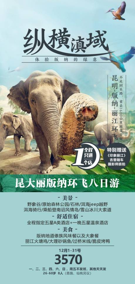 源文件下载【云南版纳旅游海报广告】编号：46410018289324221