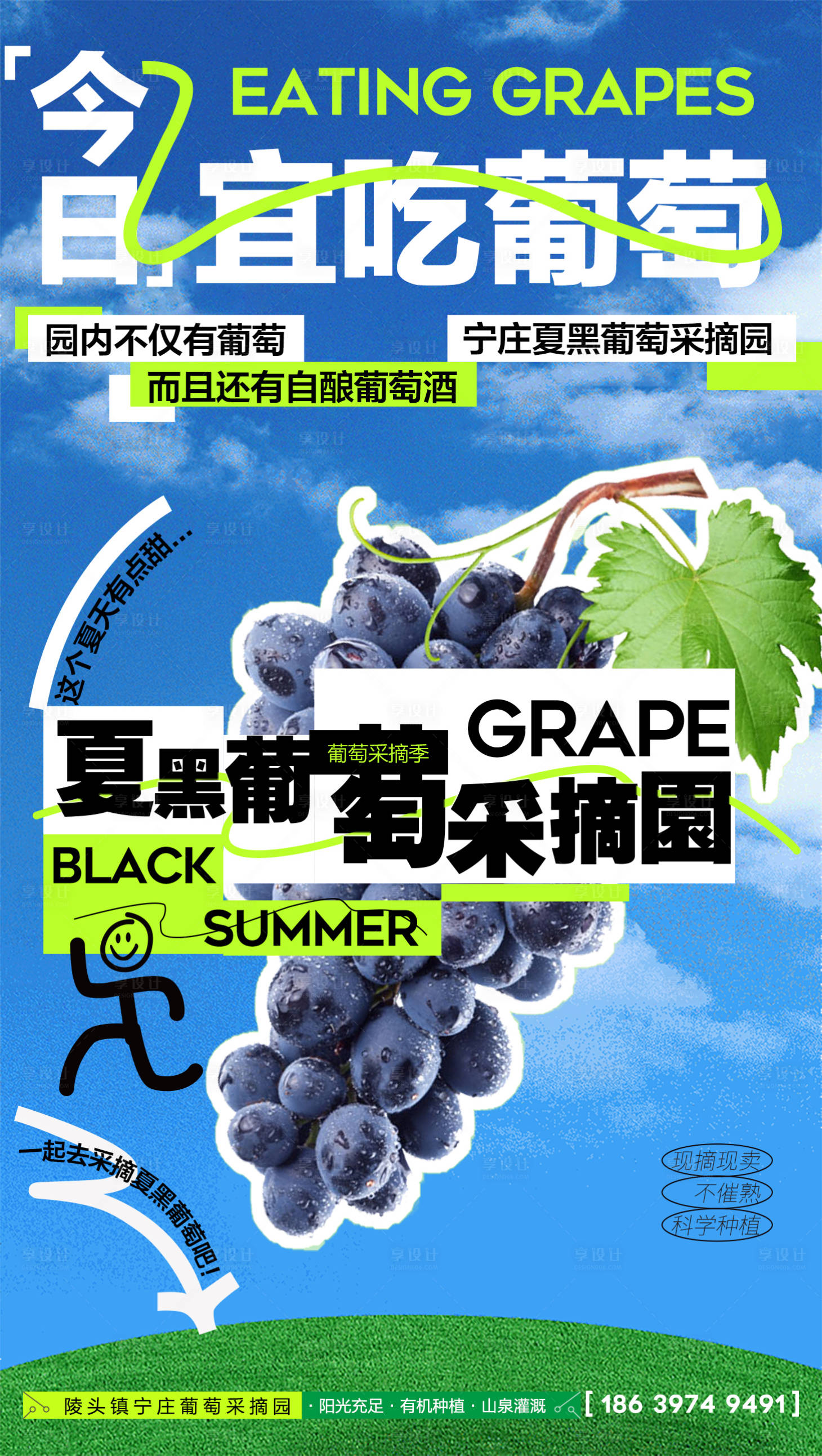 源文件下载【水果海报】编号：97340017944533362