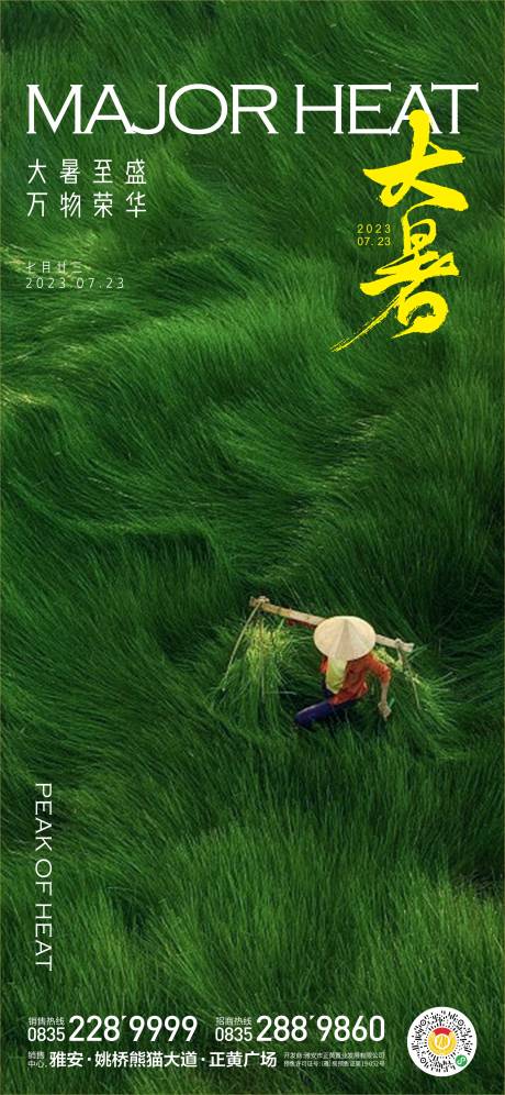 源文件下载【大暑】编号：82860018083569931
