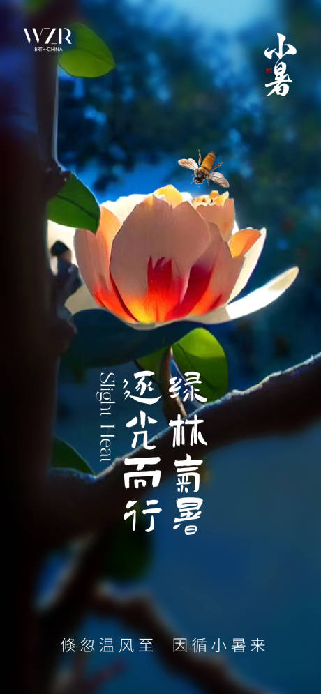 源文件下載【小暑海報】編號：34000017762049862