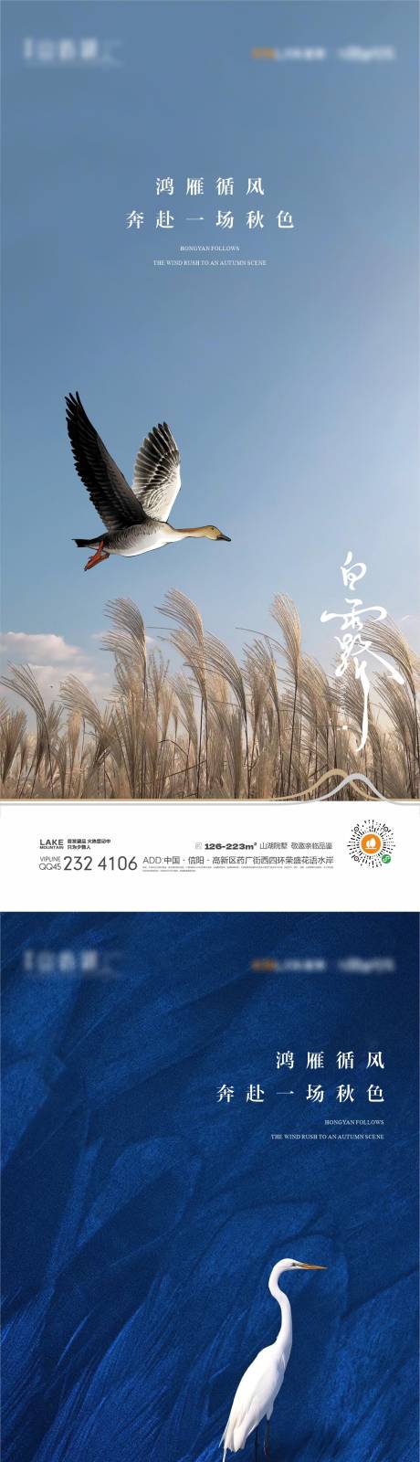 源文件下载【白露节气移动端海报】编号：35580018349951515
