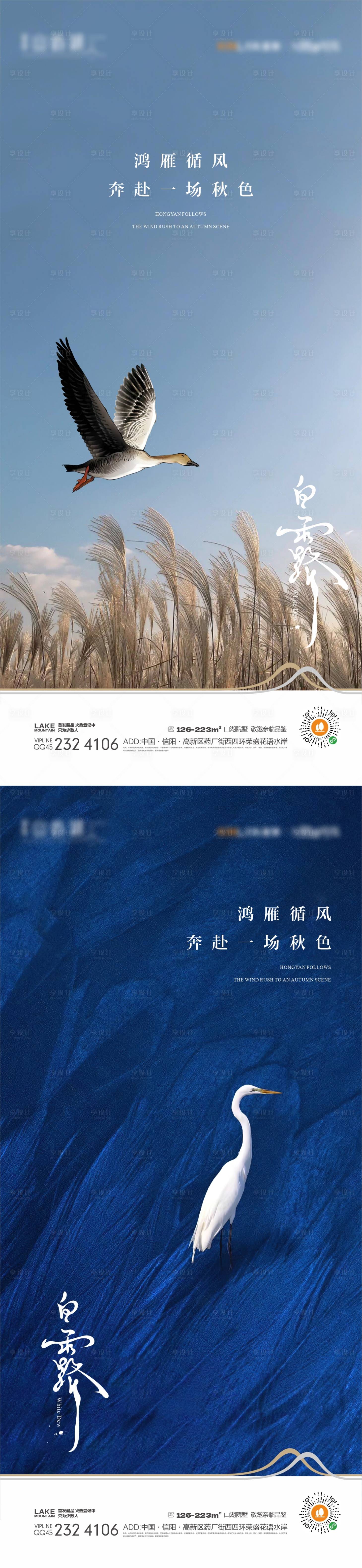 源文件下載【白露節(jié)氣移動端海報】編號：35580018349951515