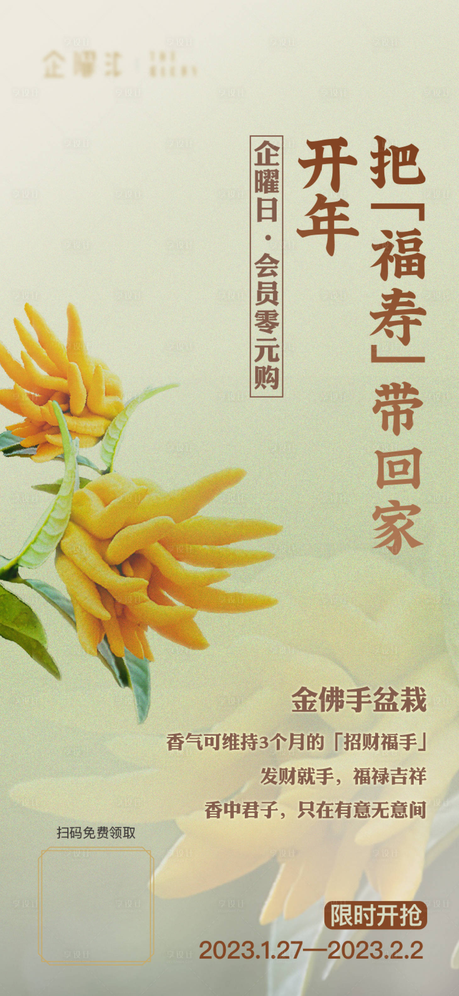 源文件下载【佛手动宣传海报】编号：62520017886783071