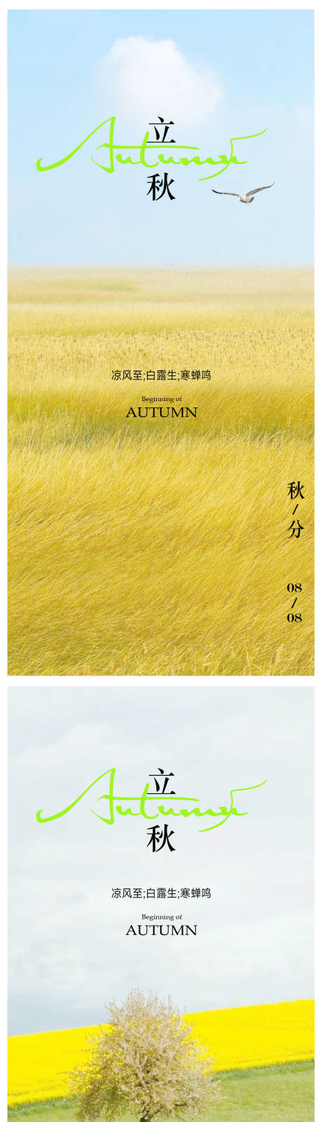 源文件下载【立秋海报 】编号：73210018245512574