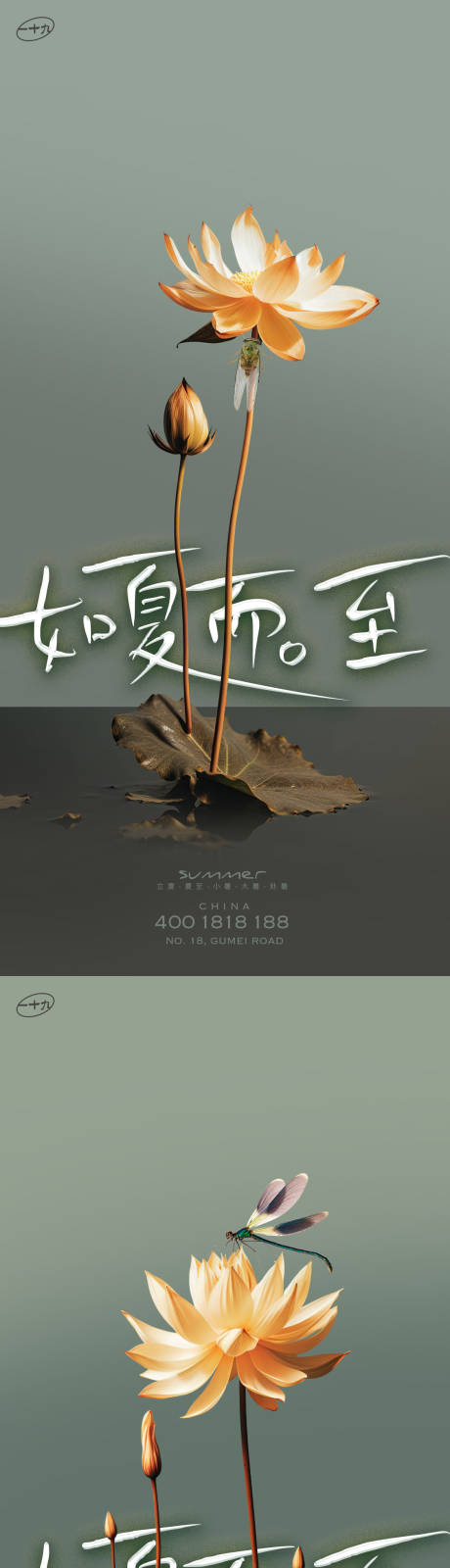 源文件下載【夏日荷花簡約海報】編號：95030017809251875