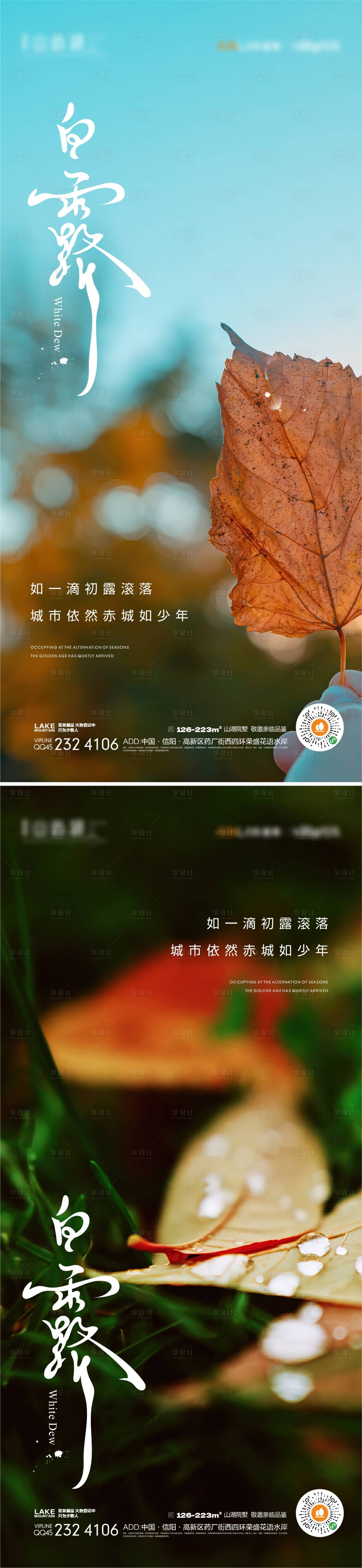源文件下載【享設計】搜索編號：21480018349844701【白露海報】