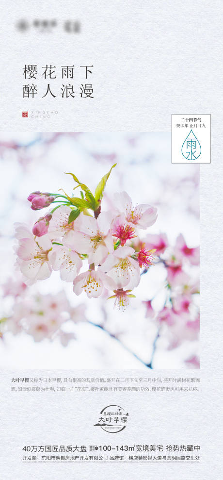 源文件下載【雨水節(jié)氣海報(bào)】編號(hào)：14820018260285060