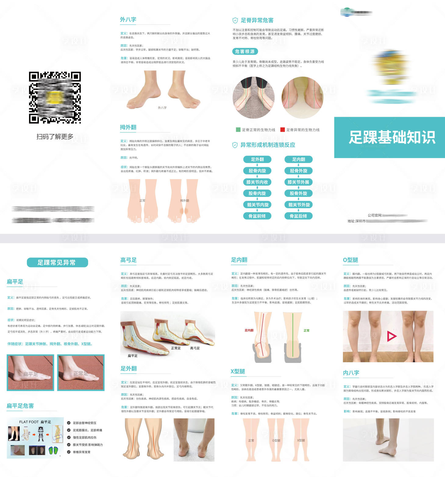 源文件下载【足踝基础知识四折页】编号：91250017888492400