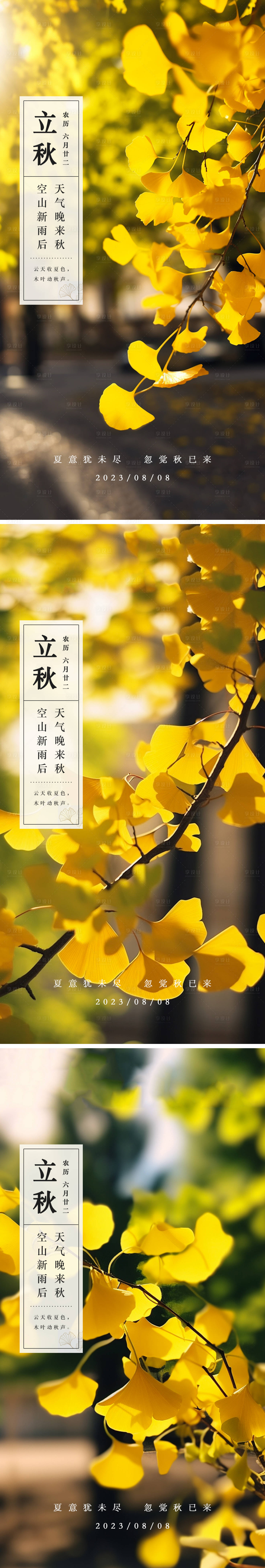 源文件下载【24节气立秋银杏海报】编号：85240018205114870