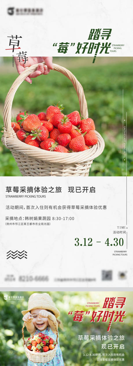 源文件下载【酒店夏季草莓活动海报】编号：13110018356011118
