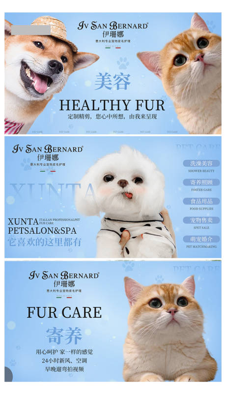 源文件下载【宠物店轮播海报banner】编号：20230727184713988