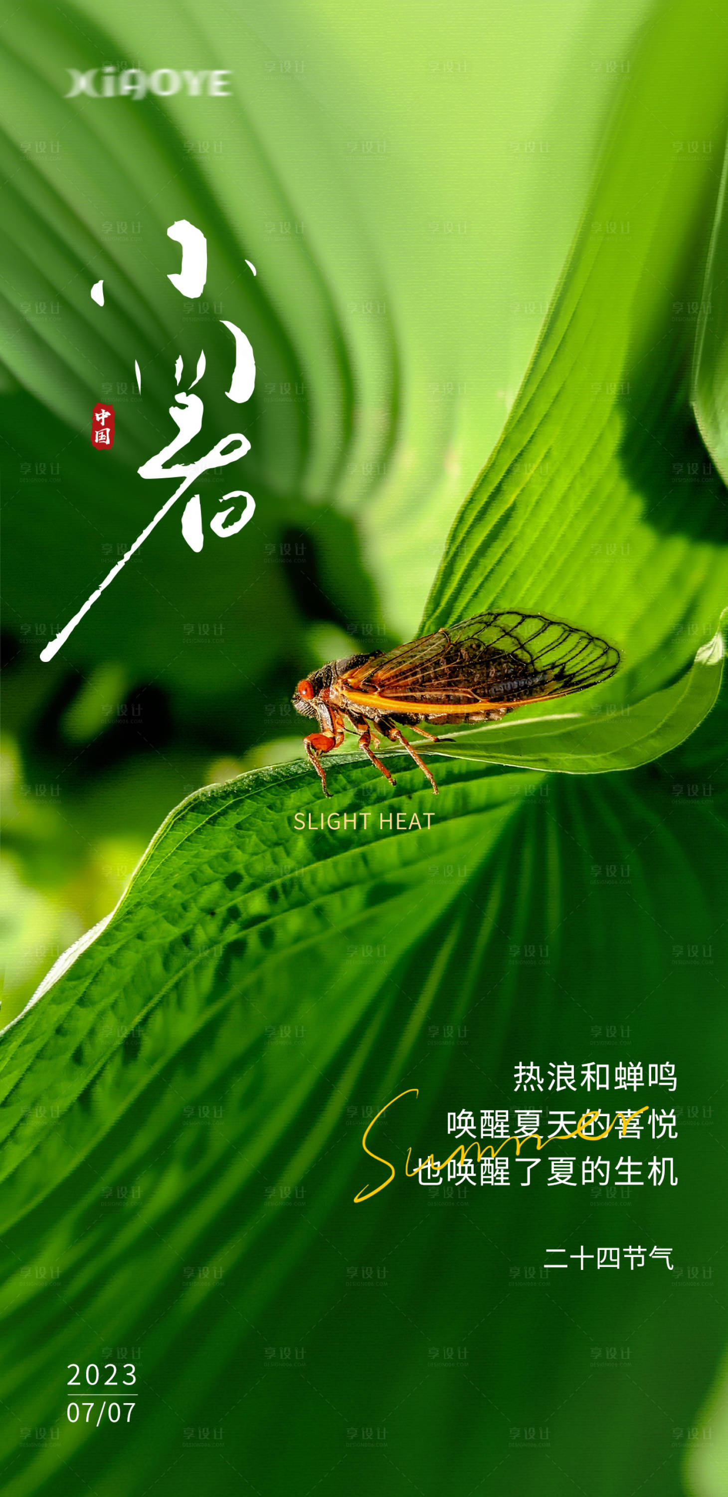 源文件下載【小暑節氣海報】編號：53240017828753821
