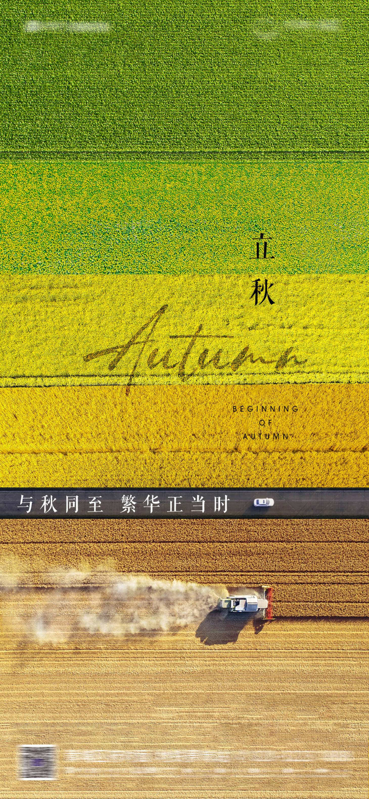 源文件下载【立秋节气海报】编号：94470018376705336