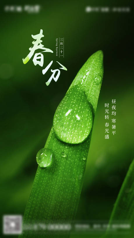 源文件下载【春分节气海报】编号：33960018000962877