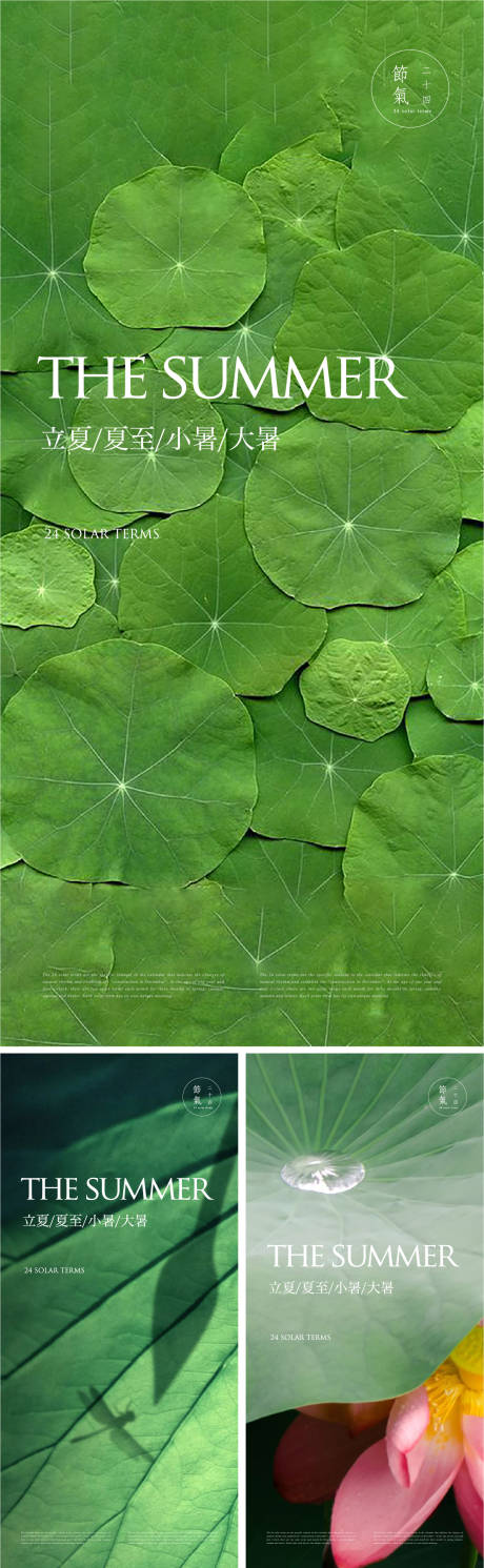 夏日绿荷节气海报-源文件【享设计】