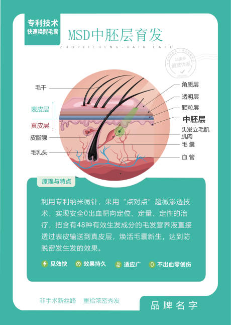 源文件下载【植发毛囊图宣传海报展板】编号：72280017901205371