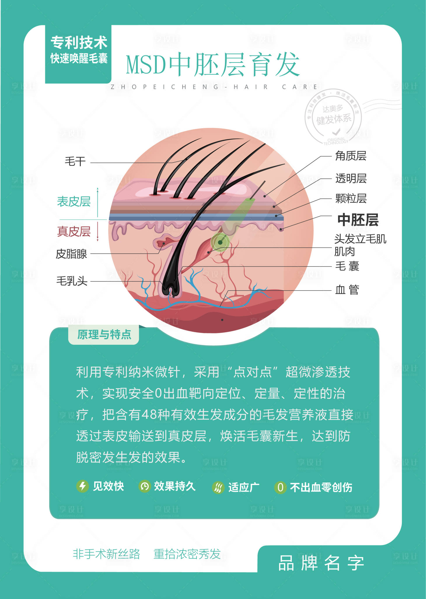 源文件下載【享設(shè)計】搜索編號：72280017901205371【植發(fā)毛囊圖宣傳海報展板】