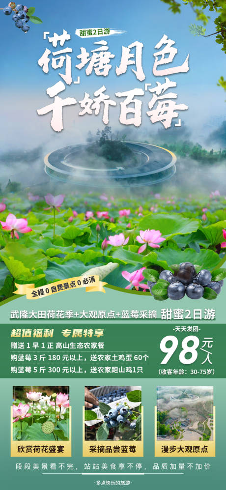 源文件下载【武隆大田荷花海报】编号：75070018335617457