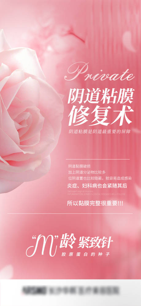 源文件下载【私密宣传图】编号：66170018336477402