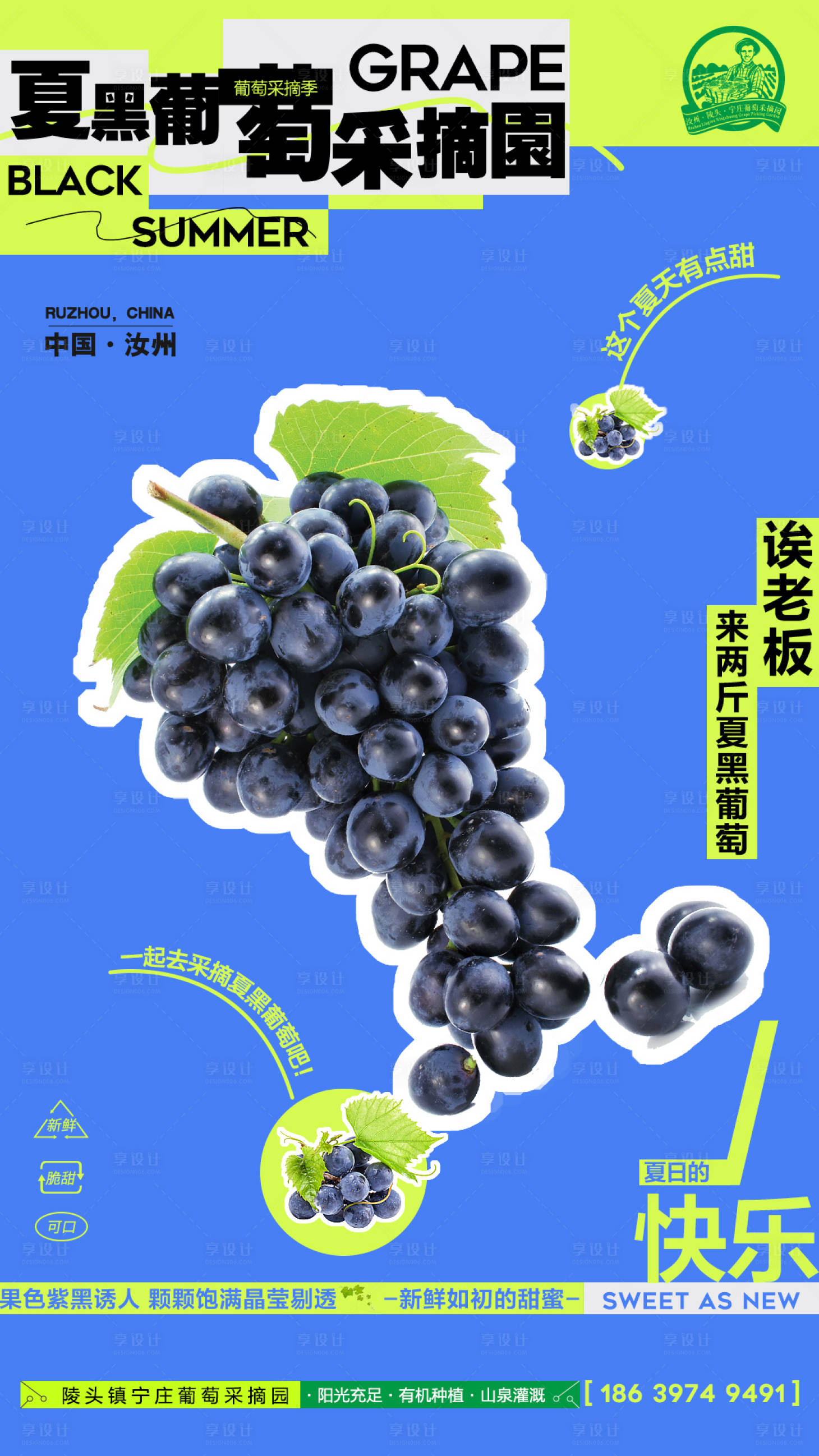 源文件下载【葡萄采摘海报】编号：15110017910027730