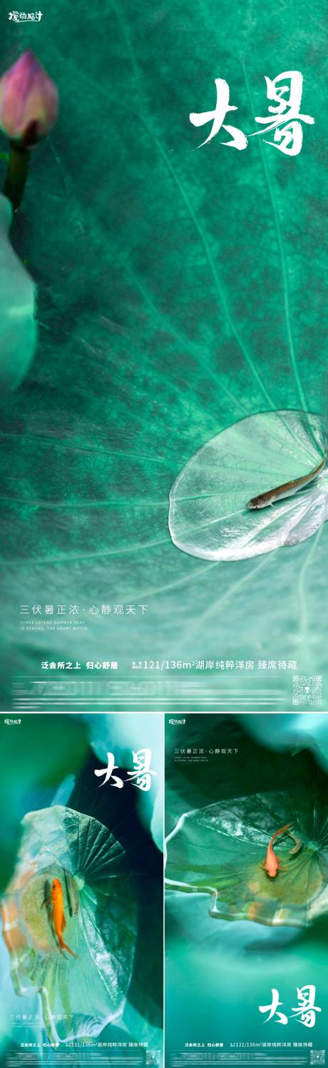 源文件下载【大暑节气荷花海报】编号：39750017943427747